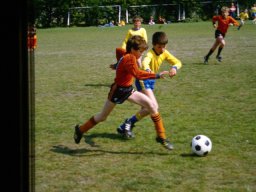 0DIA 1984 RAVA PUPS 1